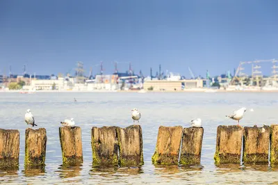 Pogotowie ślusarskie Wejherowo - Otwieranie samochodów, naprawa zamków